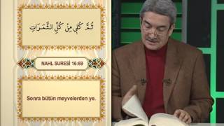 Nahl Suresi Meali 7. Sayfa